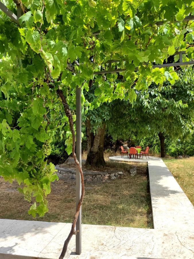 Celtis Shade House Βίλα Virpazar Εξωτερικό φωτογραφία